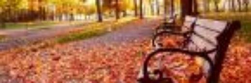 JAVIERTORRALBA3's profile banner image