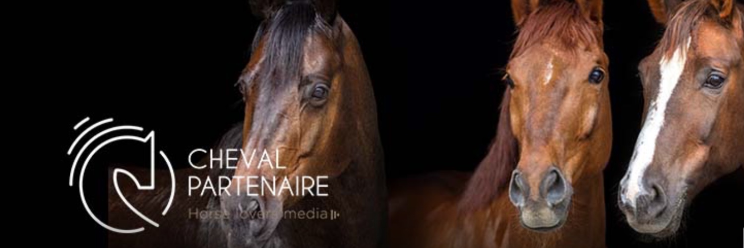 Chevalpartenair's profile banner image