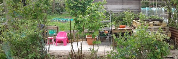 ync_org_uk Profile Banner