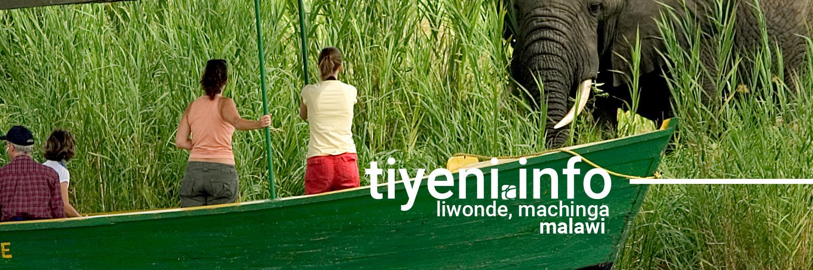 tiyeniinfo's profile banner image