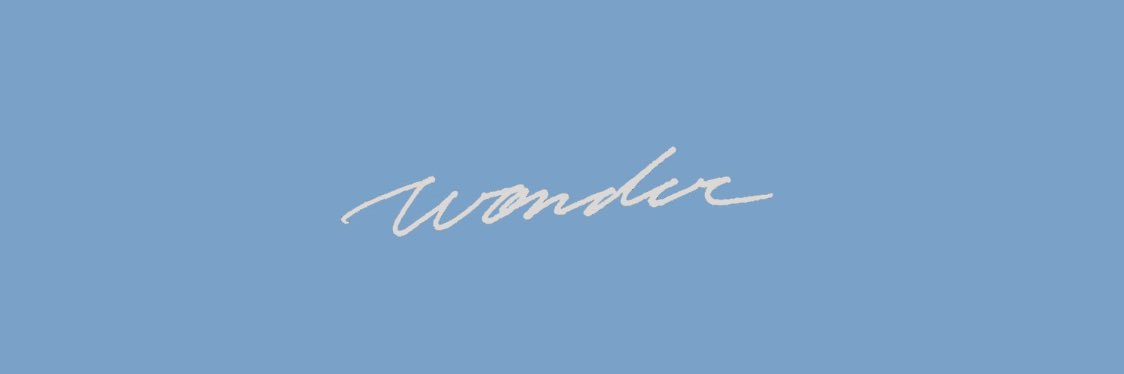 shvwmnendes's profile banner image