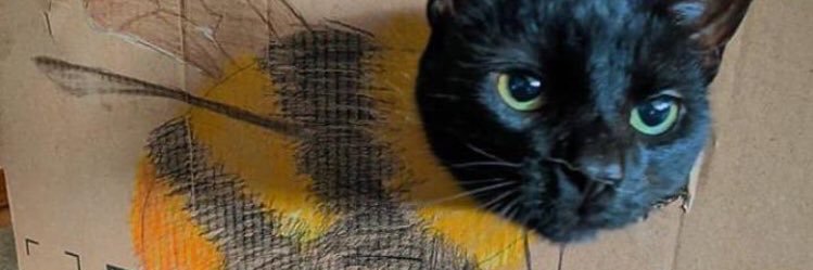 ToygarBeste's profile banner image