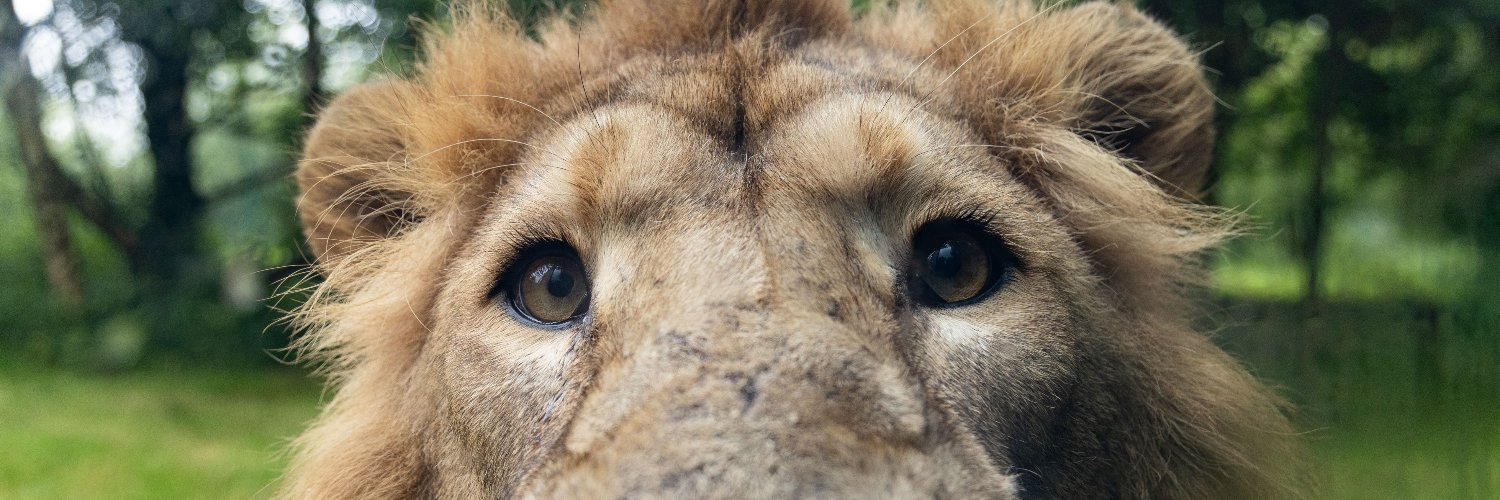 Fota Wildlife Park's banner