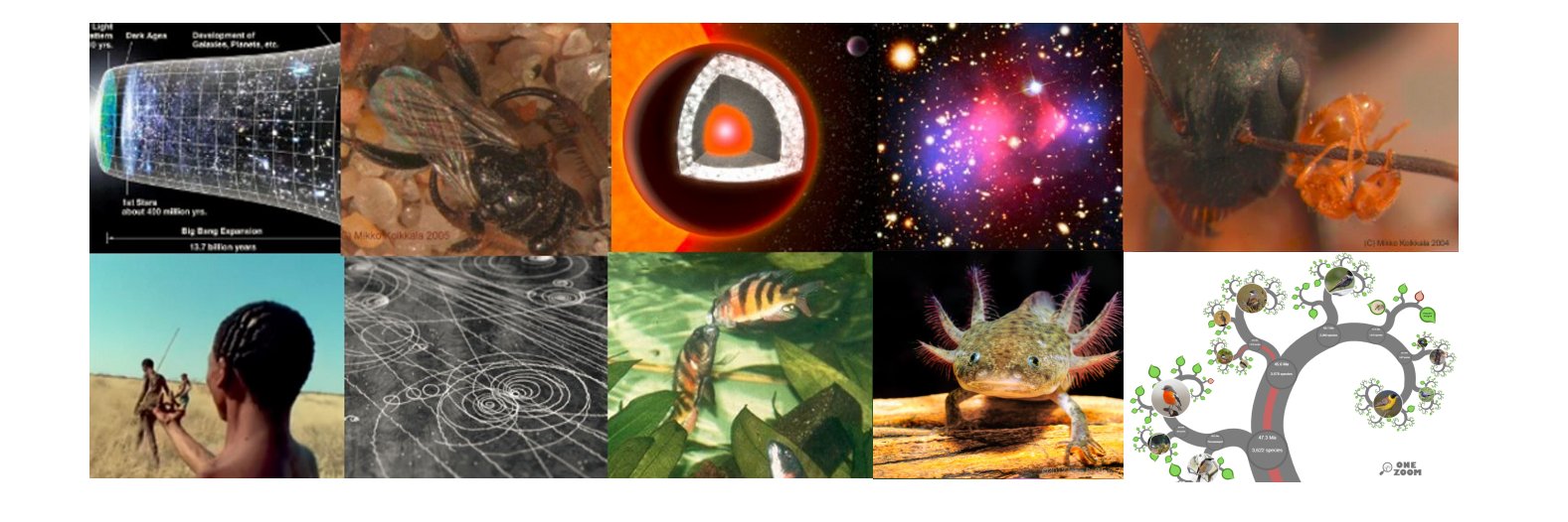 𝘔𝘪𝘬𝘬𝘰 𝘒𝘰𝘭𝘬𝘬𝘢𝘭𝘢 banner