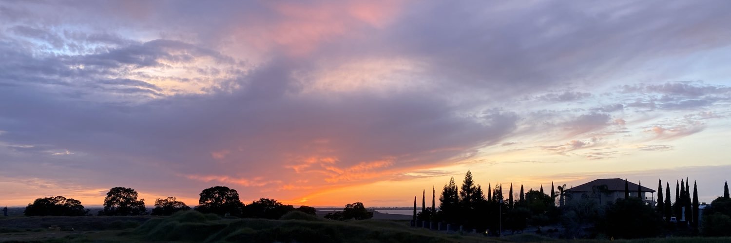 nessbay's profile banner image