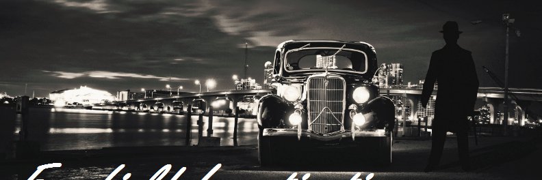 Terrorfexx's profile banner image