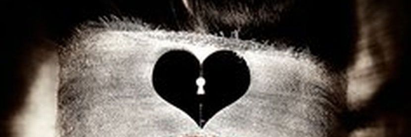 Sineh20's profile banner image
