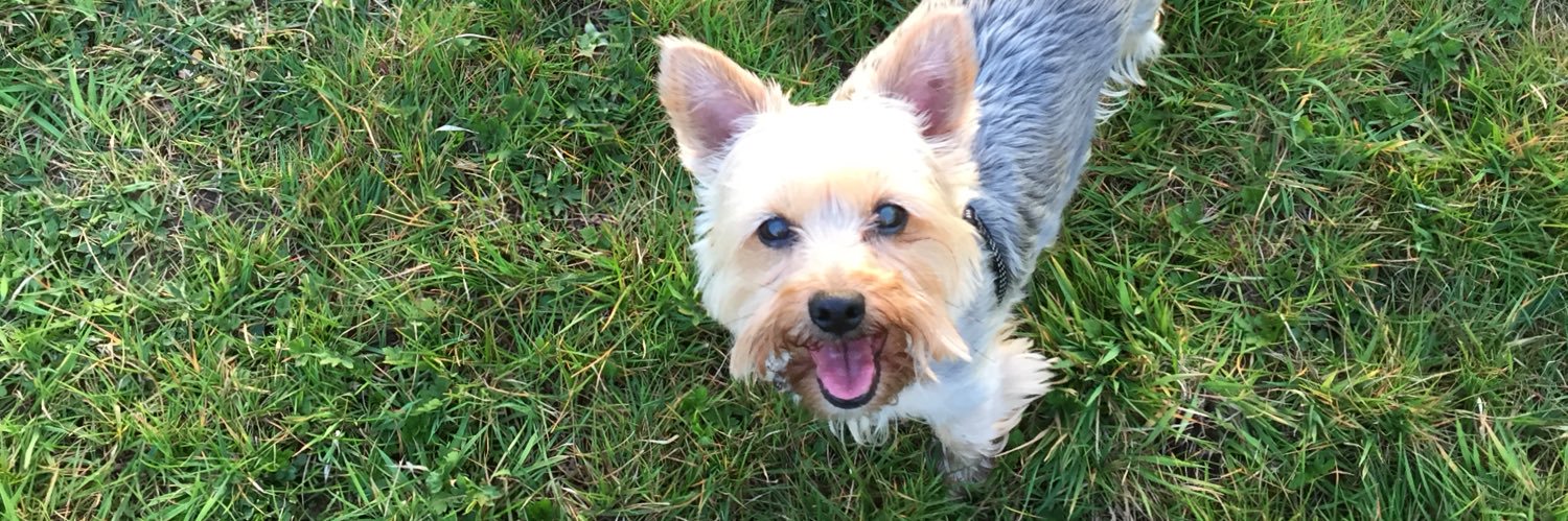 Roksana Markiewicz banner