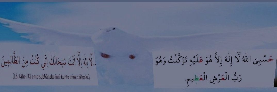 fesih_erkmen's profile banner image