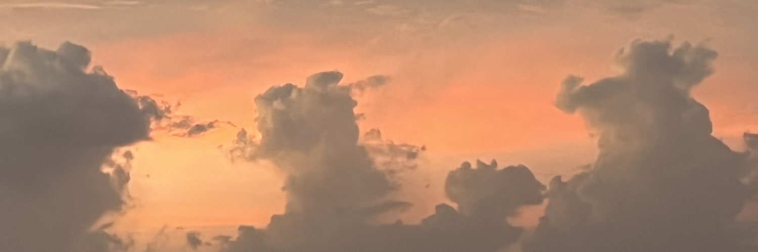 nayjackson_'s profile banner image