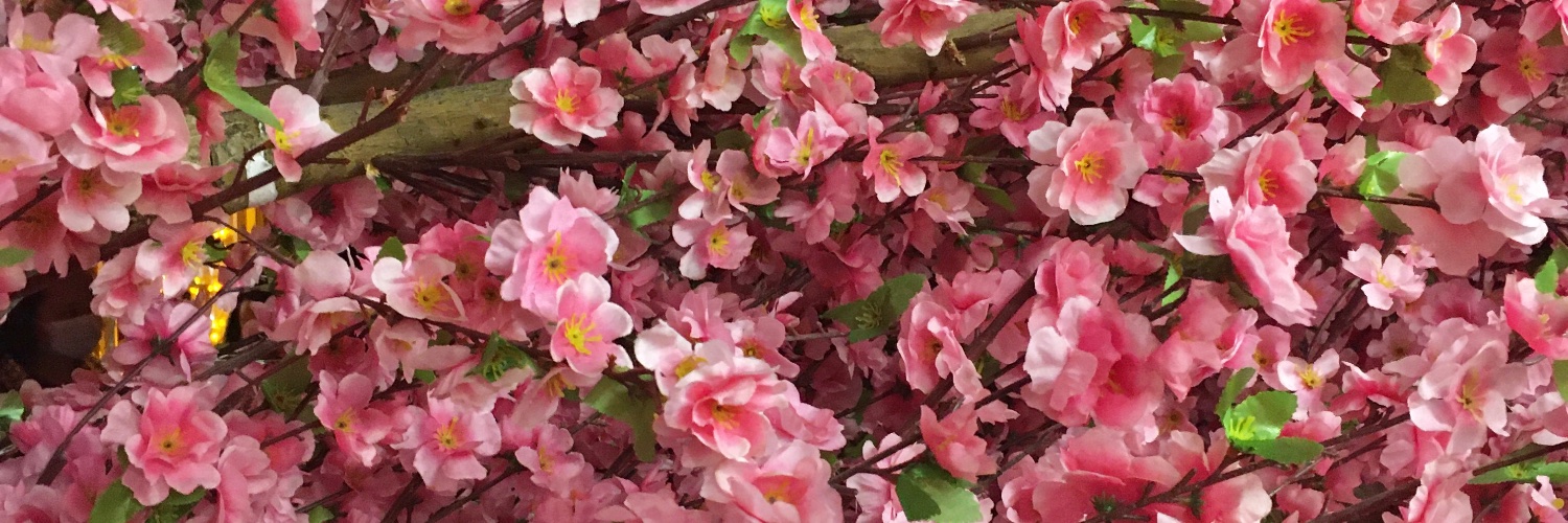 SheilaPerez22's profile banner image