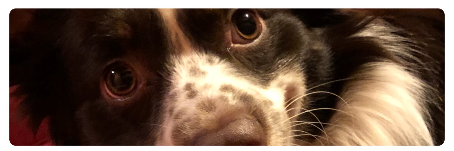 TanHaley's profile banner image