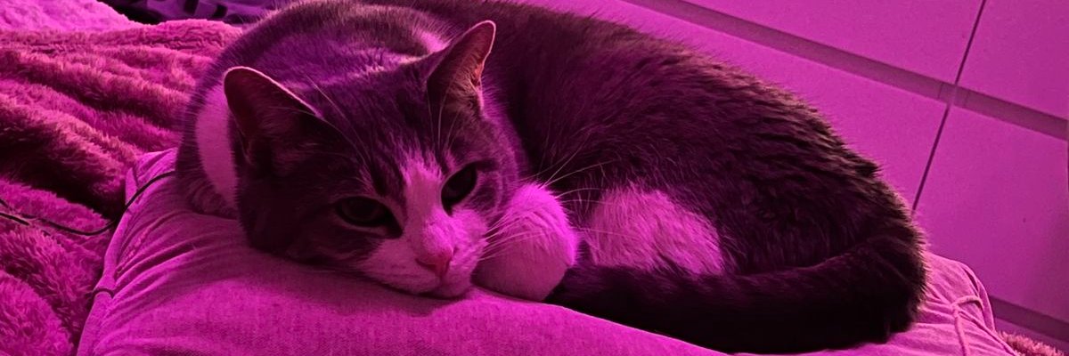 loveroudette's profile banner image
