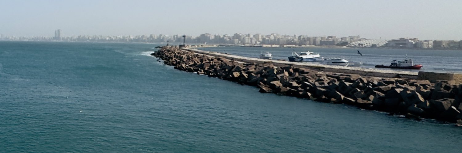 Shaimaa Goher banner