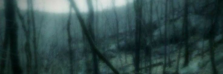 srta_powder's profile banner image