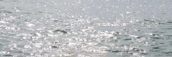tpdbs0408's profile banner image