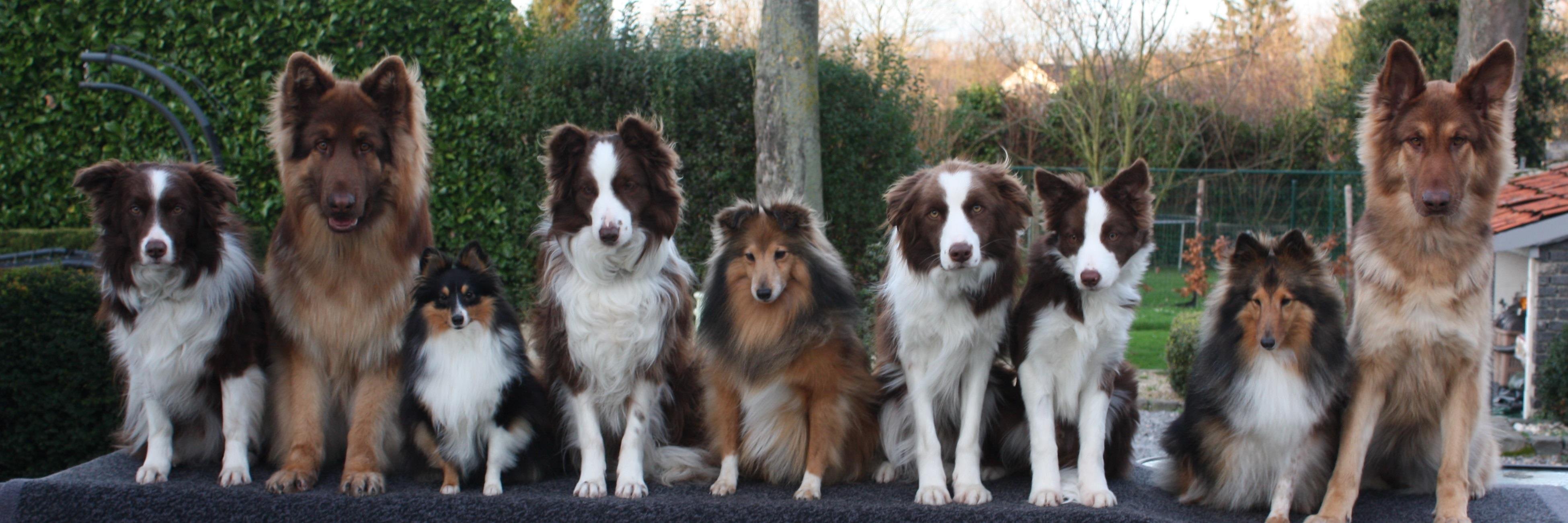 JulesAndMatisse's profile banner image