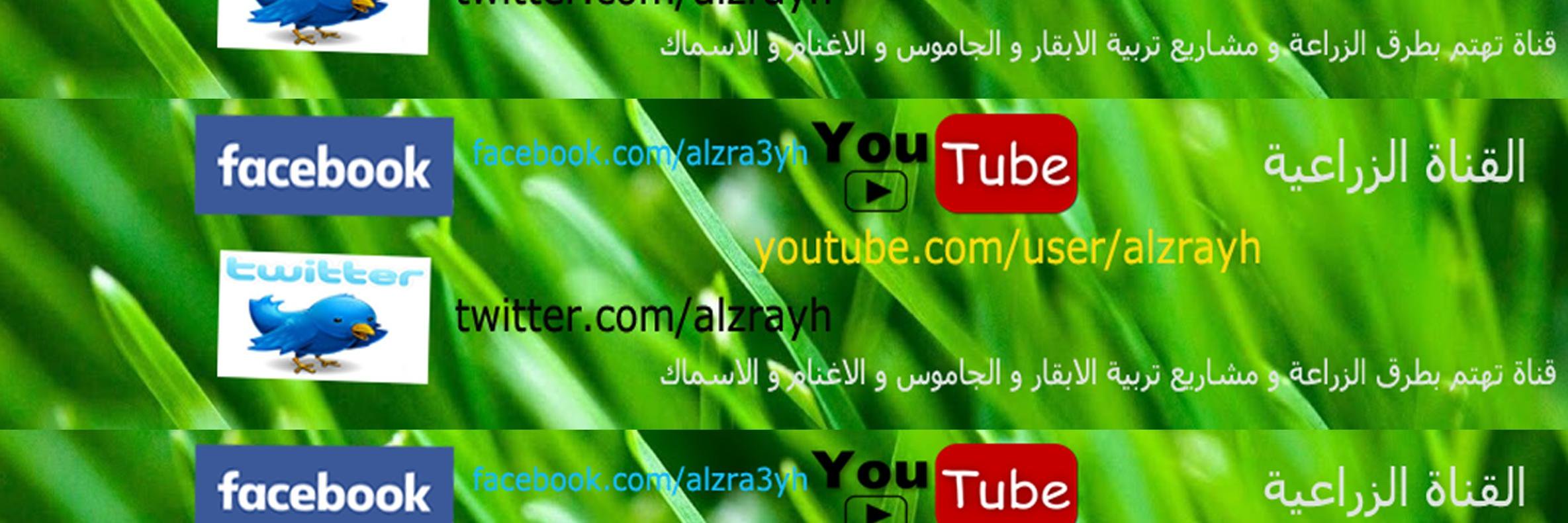 alzrayh's profile banner image