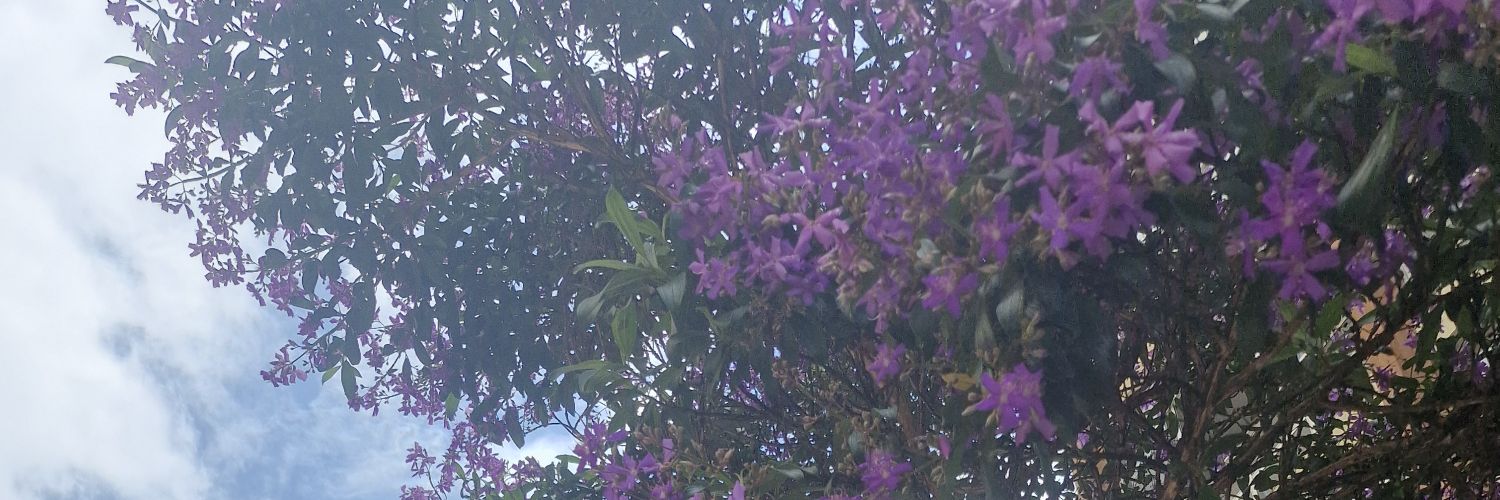 nathikeys's profile banner image