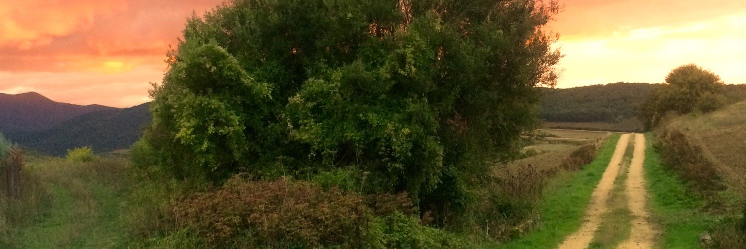 txus_91's profile banner image