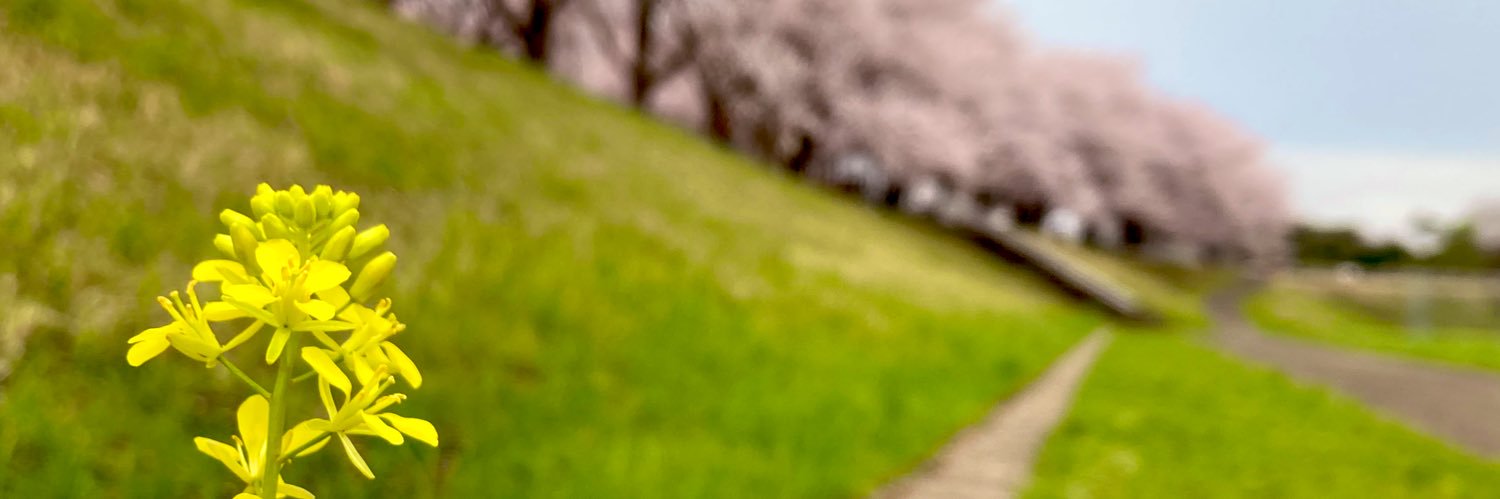 itomo1991's profile banner image
