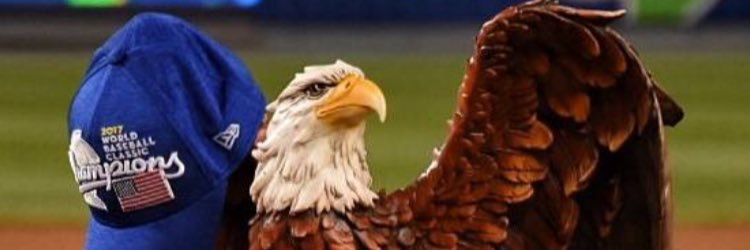 Wesley Chapel Storm banner