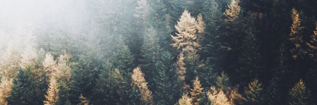 simplyROGUEx7's profile banner image