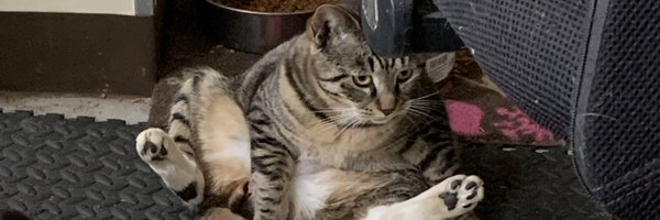 beat_pulp Profile Banner