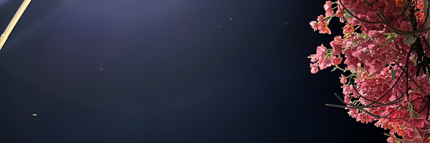 ebdsnr's profile banner image