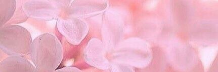 Byanka_26's profile banner image