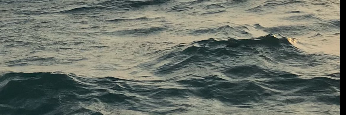 sinemgerdan3's profile banner image