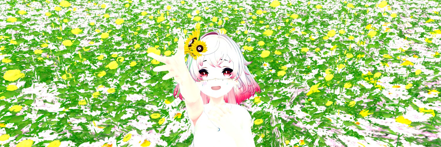 sf1812's profile banner image
