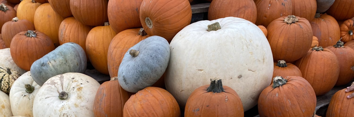 Hayley Goodwin (her/she) banner