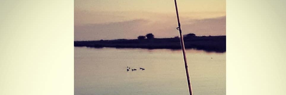 MateSturla_ok's profile banner image