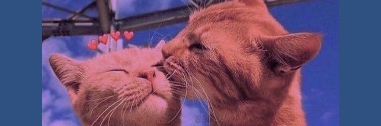 lealuna__'s profile banner image
