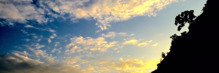 danielle_edpt's profile banner image