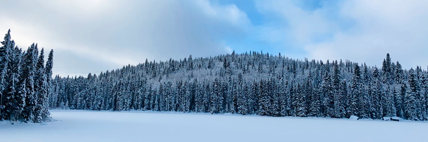 CarynValin's profile banner image