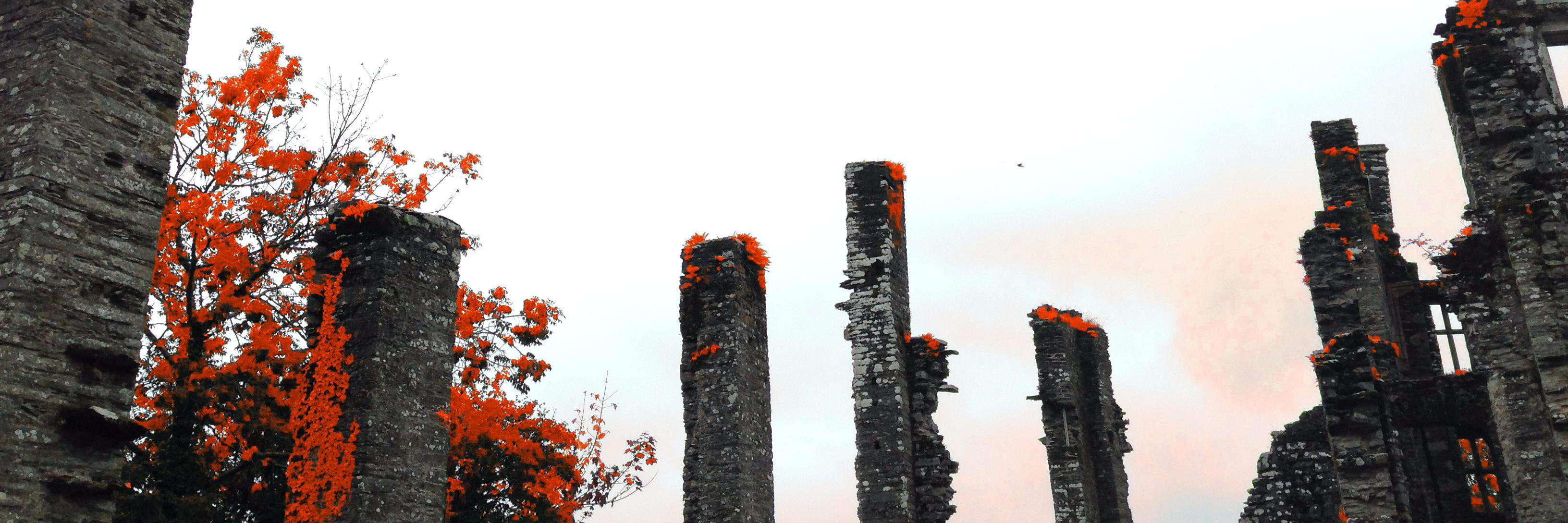 anarchitecturep's profile banner image
