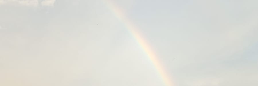 dianageraldine_'s profile banner image