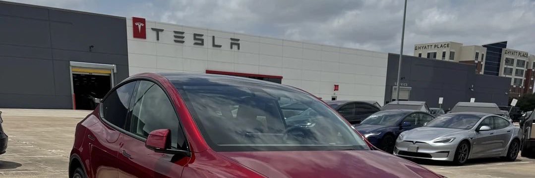 teslavips's profile banner image
