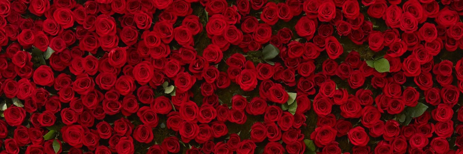 dr_stuti's profile banner image