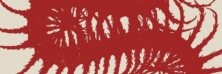 Dani Boy banner