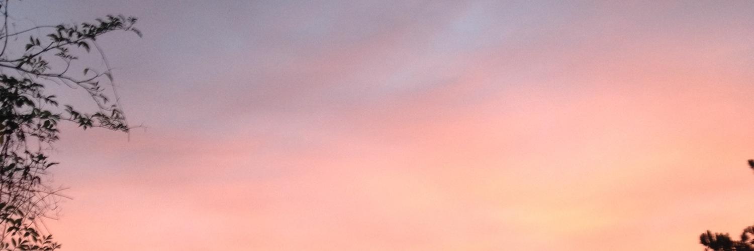 MarieMaurizi's profile banner image