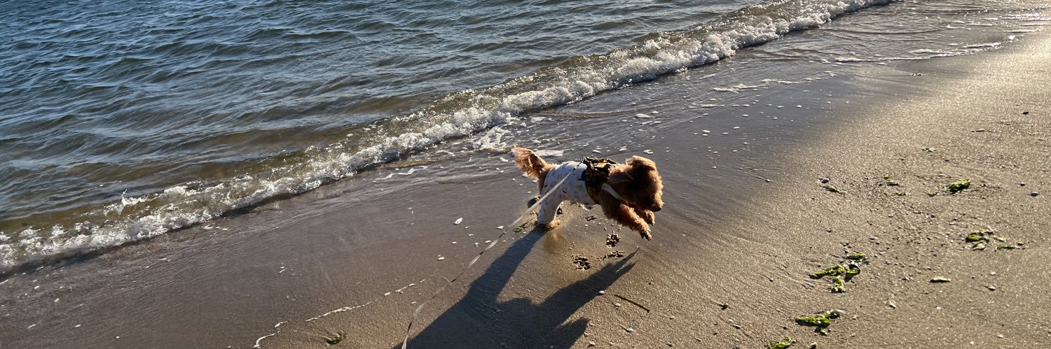 🌸2011.10.11（14歳5ヶ月） banner