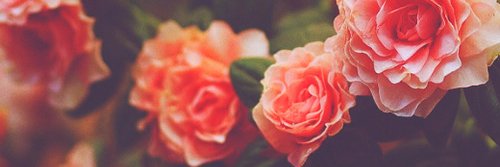 leanneisperf's profile banner image