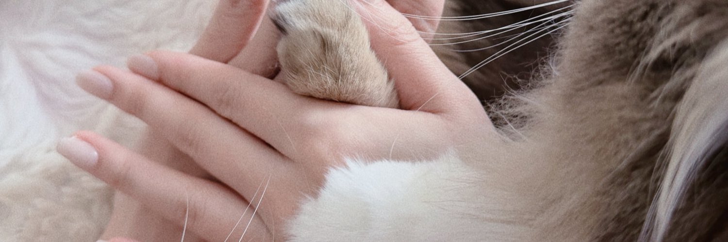 H0tRe__'s profile banner image