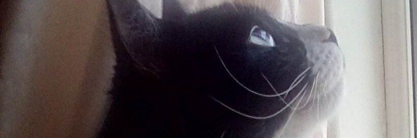 LisaMiller_1976's profile banner image