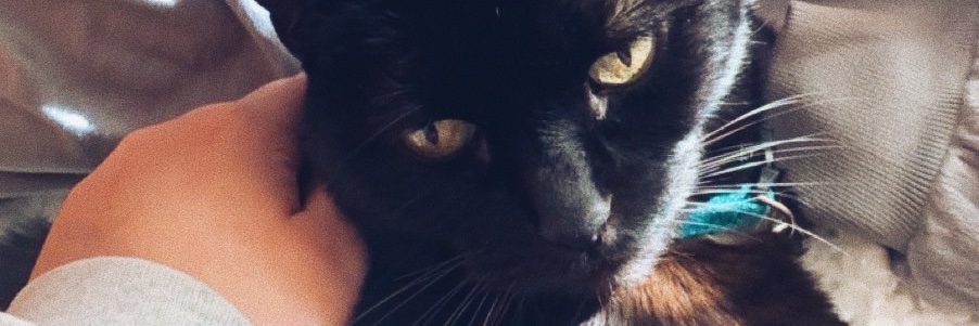 emvierik's profile banner image