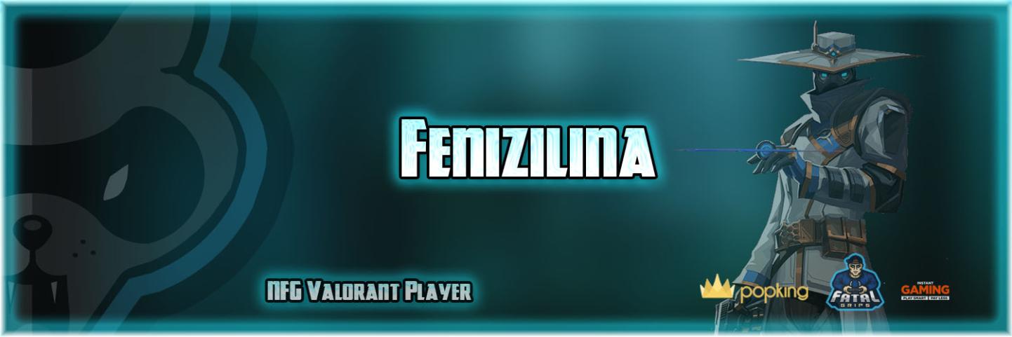 Fenizilina banner