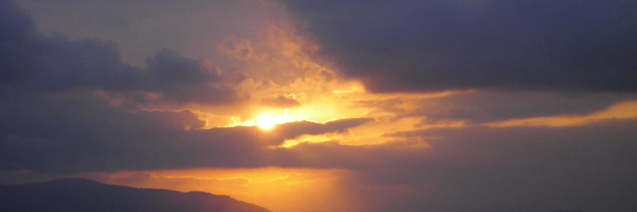Tania banner